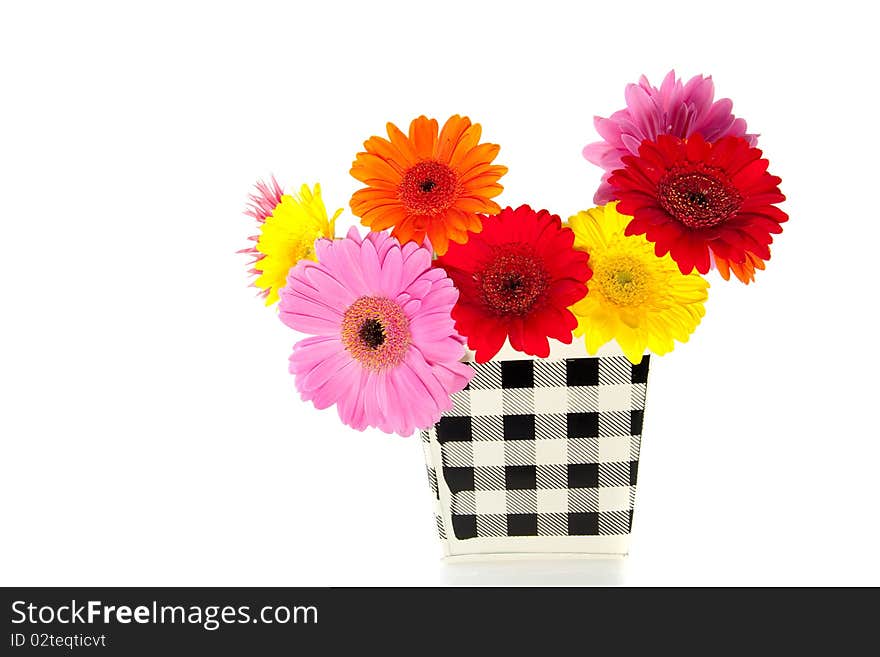 A colorful bouquet of gerber daisies in a checkered flower pot isolated over white. A colorful bouquet of gerber daisies in a checkered flower pot isolated over white