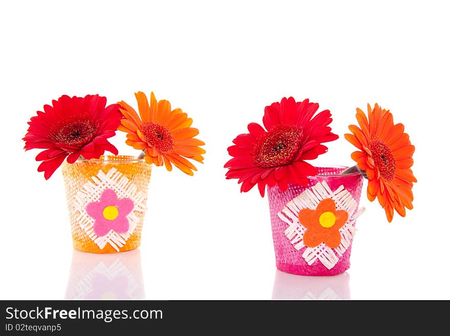 Two little vases with colorful gerbera daisies isolated over white. Two little vases with colorful gerbera daisies isolated over white