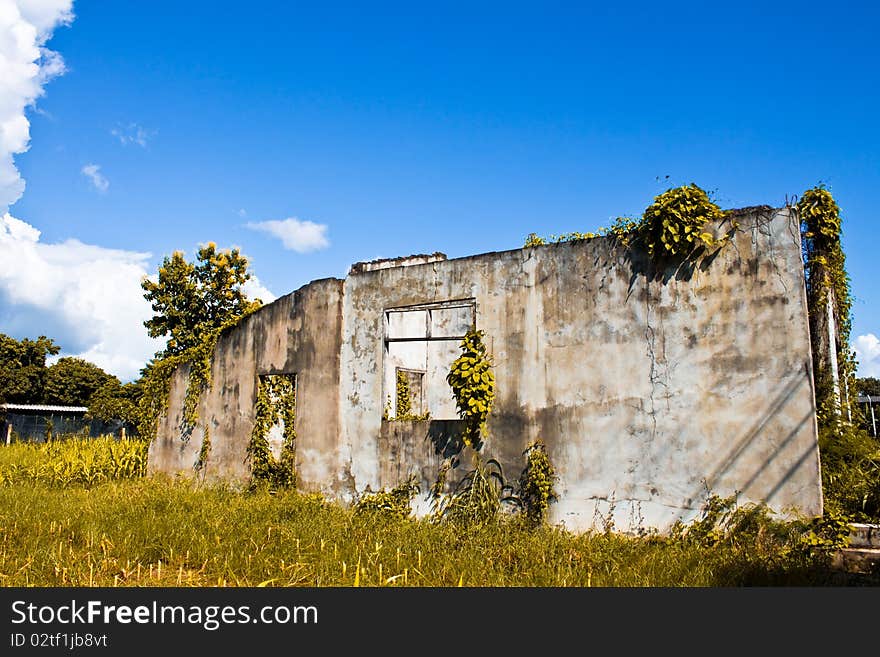 An old and rustic house surrounded with vegetation. An old and rustic house surrounded with vegetation