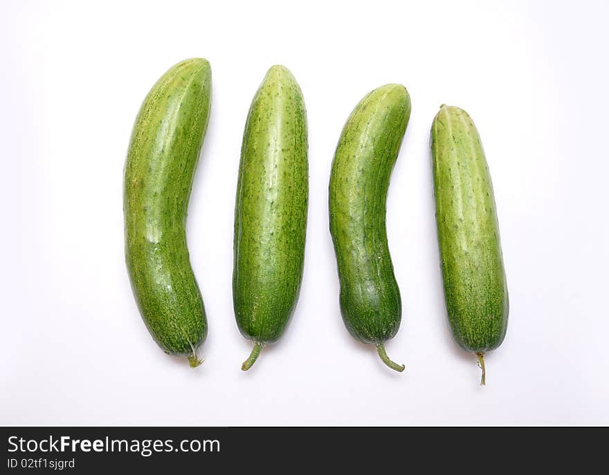 Cucumber