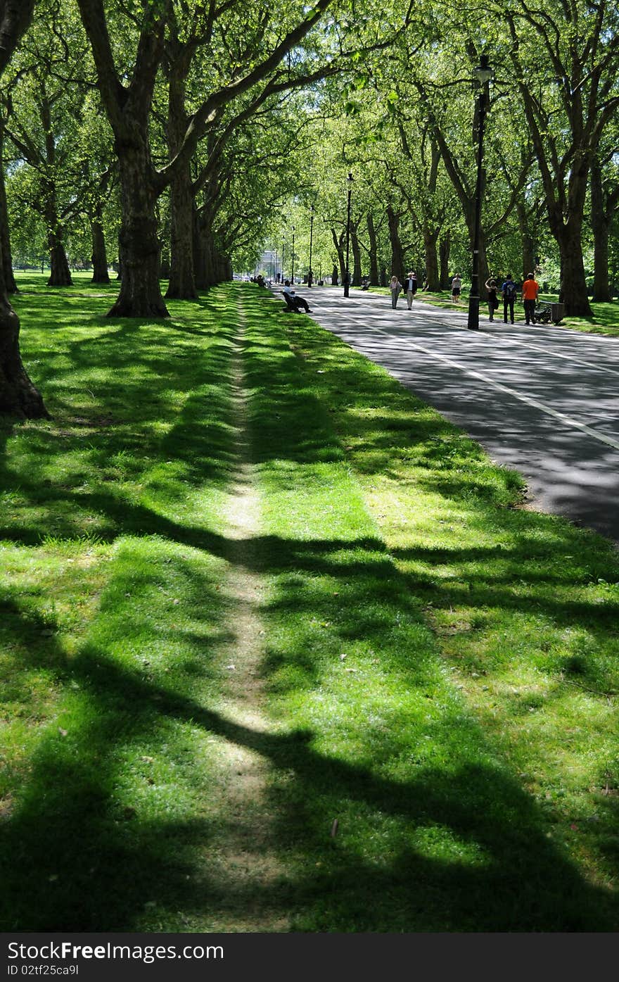 A grass side path adjacent to main road. A grass side path adjacent to main road