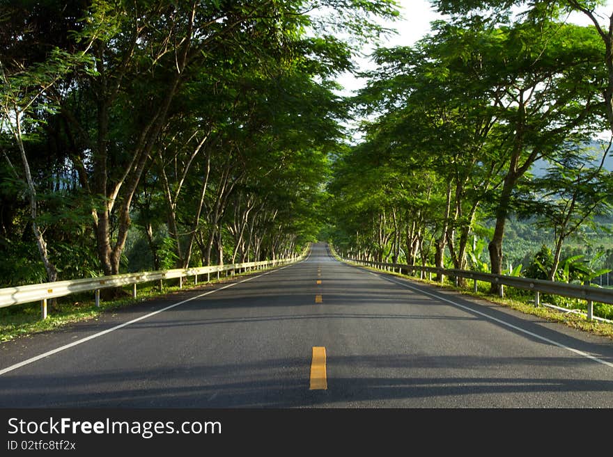 Road to green on themoutain