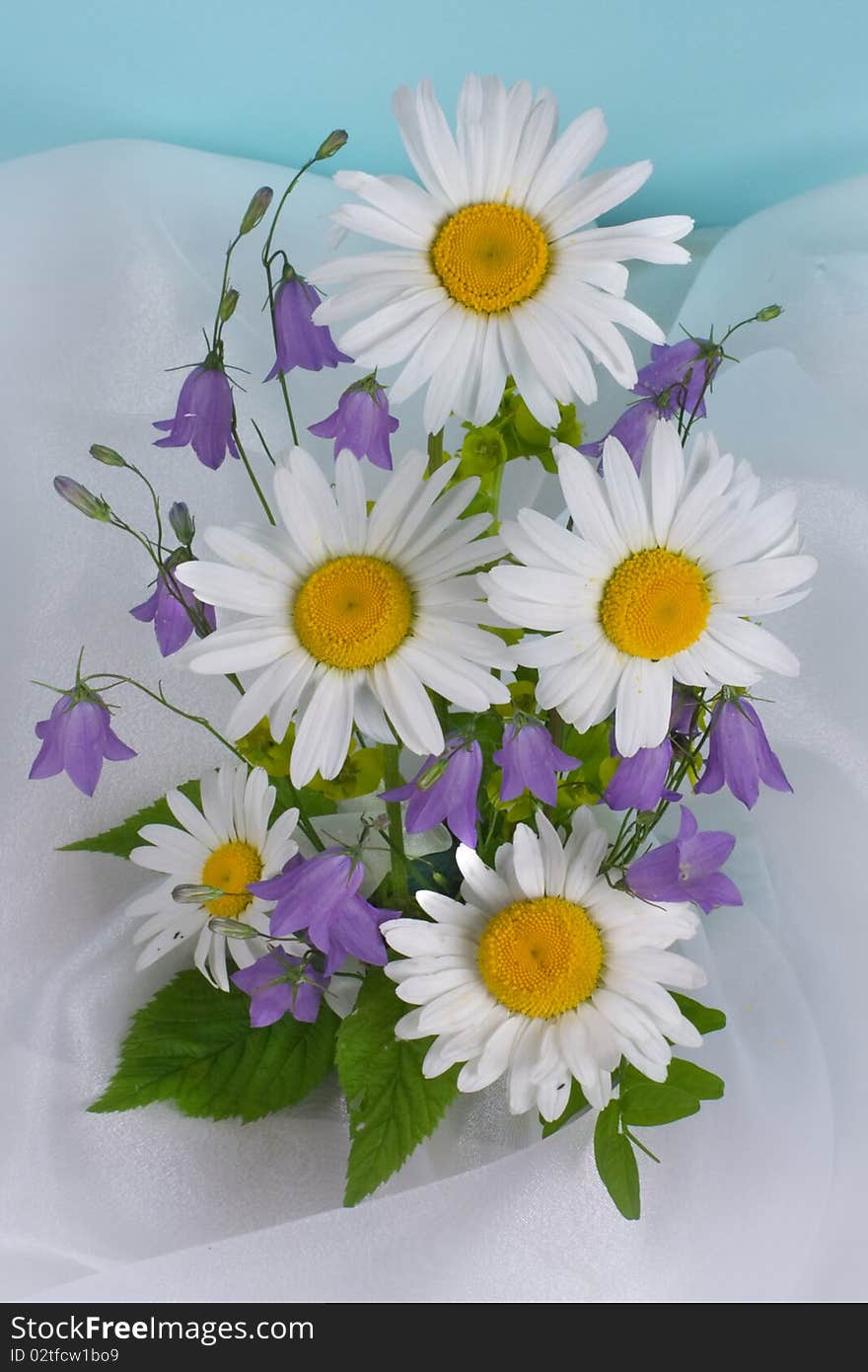 Bouquet with camomiles on a blue background