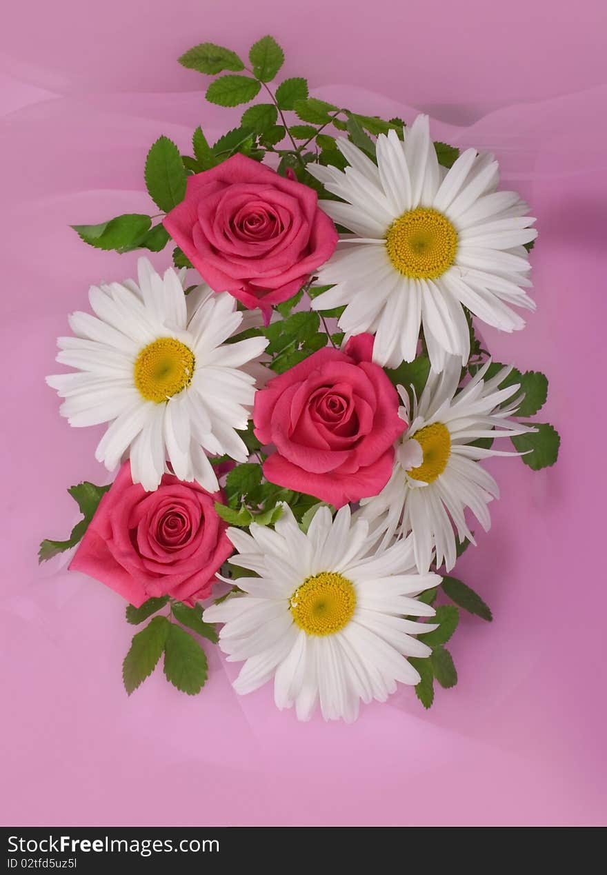 Bouquet with pink roses and camomiles. Bouquet with pink roses and camomiles