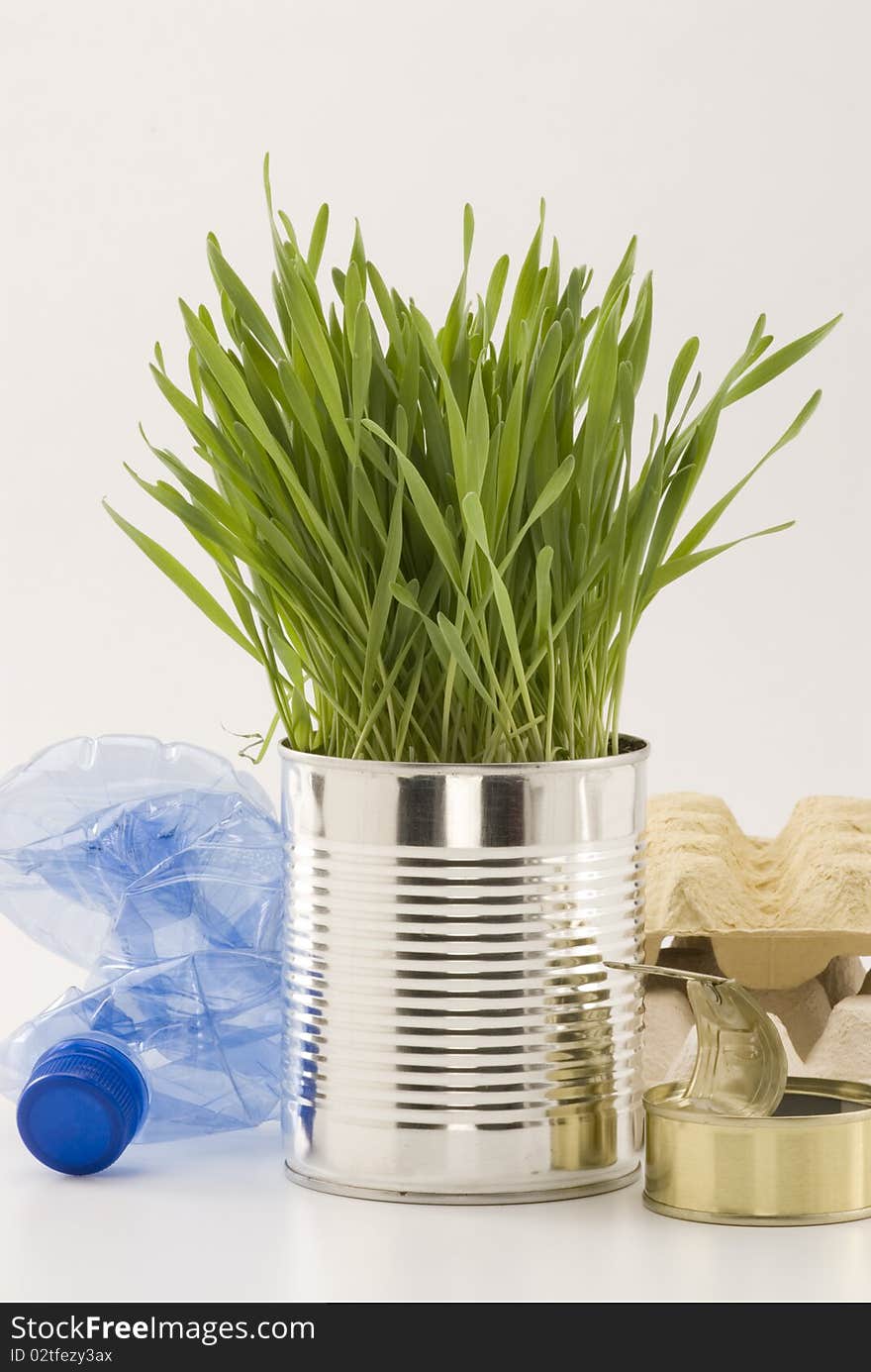 Grass growing in an aluminum recycled can. White background. Grass growing in an aluminum recycled can. White background.