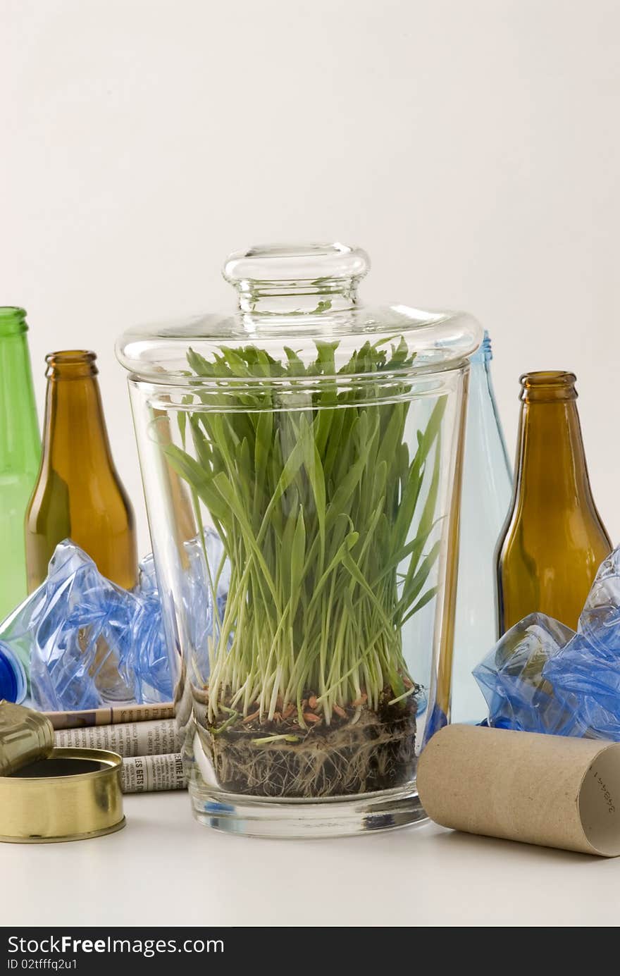 Grass growing in glass jar among household recycling items. White background. Grass growing in glass jar among household recycling items. White background.