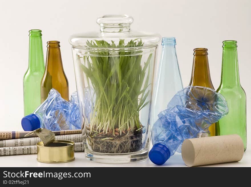 Grass growing in glass jar among household recycling items. White background. Grass growing in glass jar among household recycling items. White background.