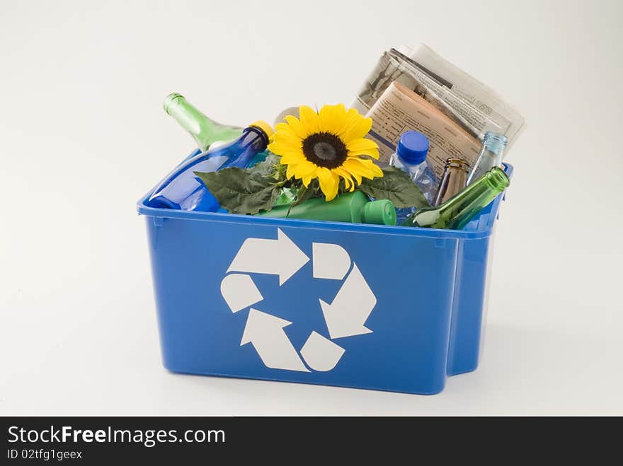 Sunflower growing in a blue recycling bin. White background. Sunflower growing in a blue recycling bin. White background.