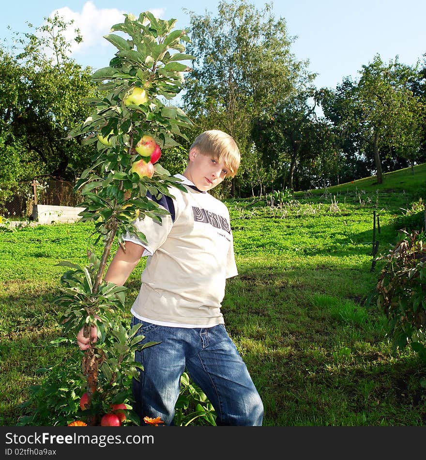 Teenager In Apple Orchard