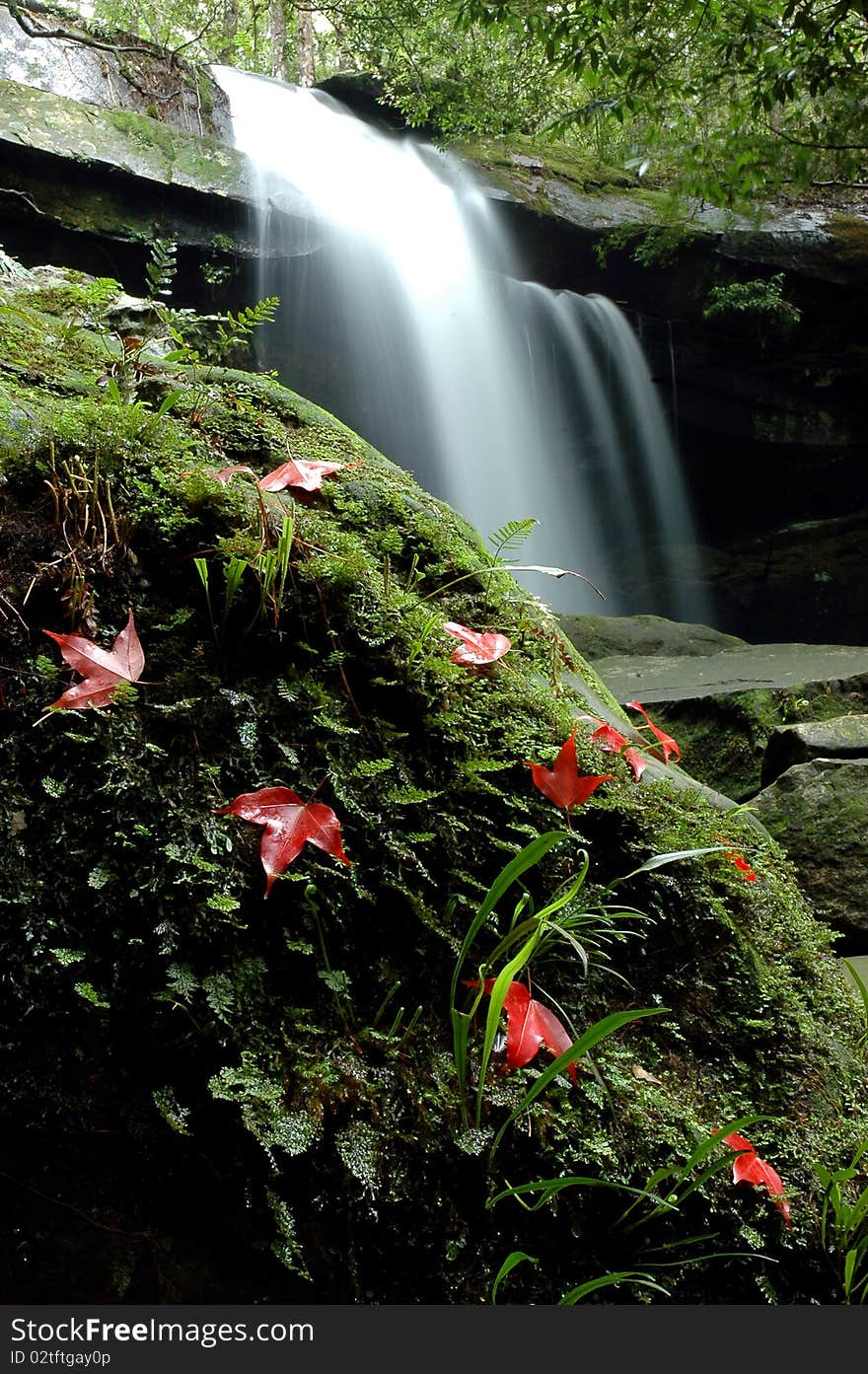 The beautiful waterfall at Phukraduang National Park in Thailand