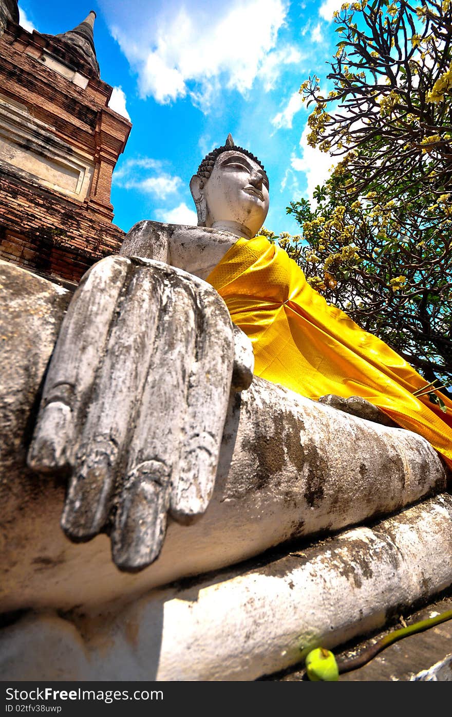 Unique old Buddha statue, the famous Buddha's head from Ayuthaya the old capital of Thailand.