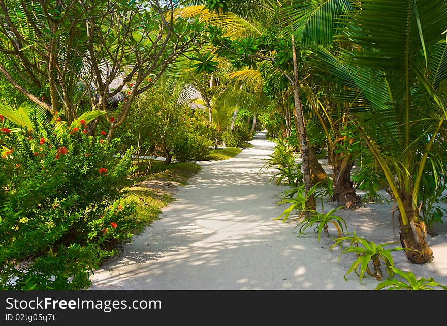 Bungalows on beach and sand pathway, flowers and trees