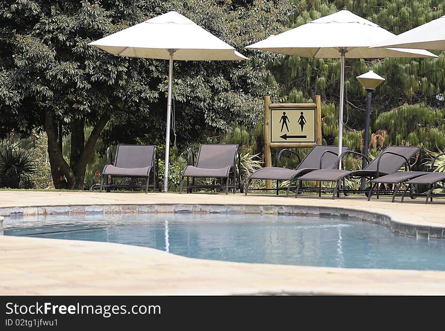 Sun chairs next to a swimming pool