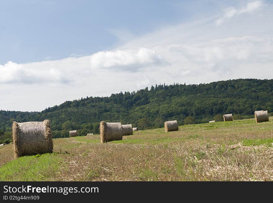 Straw rolls