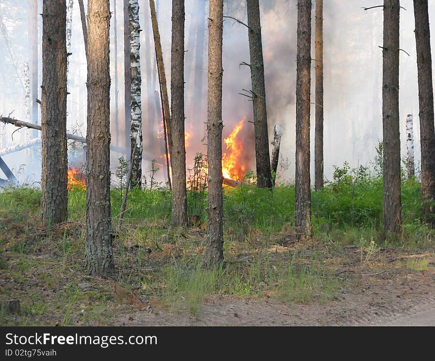 Russia, Vladimir region, summer 2010. Russia, Vladimir region, summer 2010