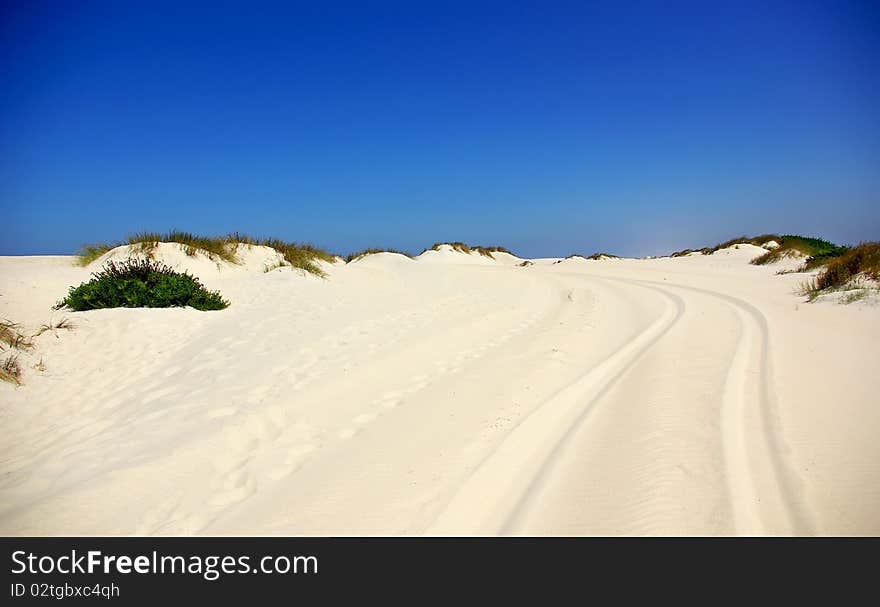 Landscape of portuguese coast:Rails on dune.