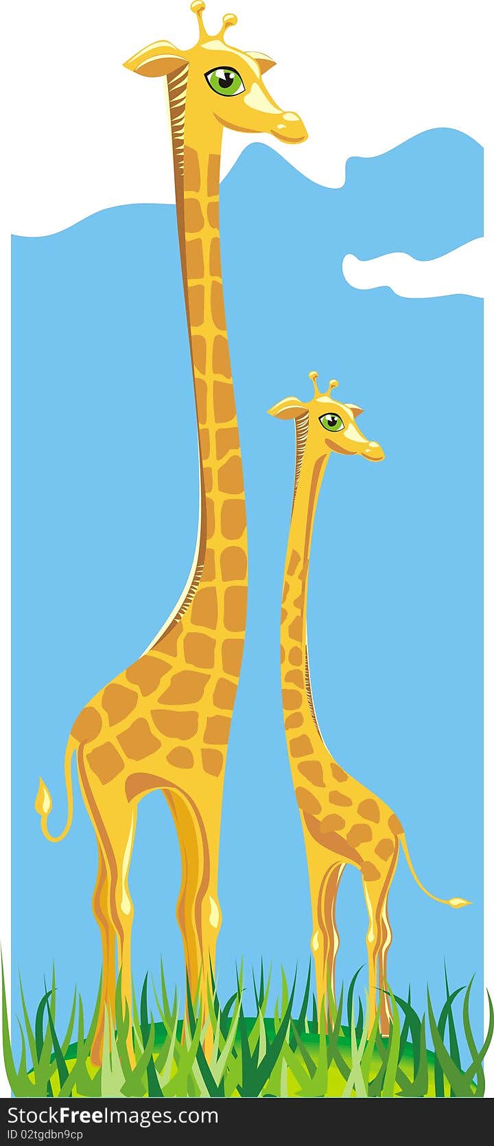 Two Giraffes Stand In A Grass