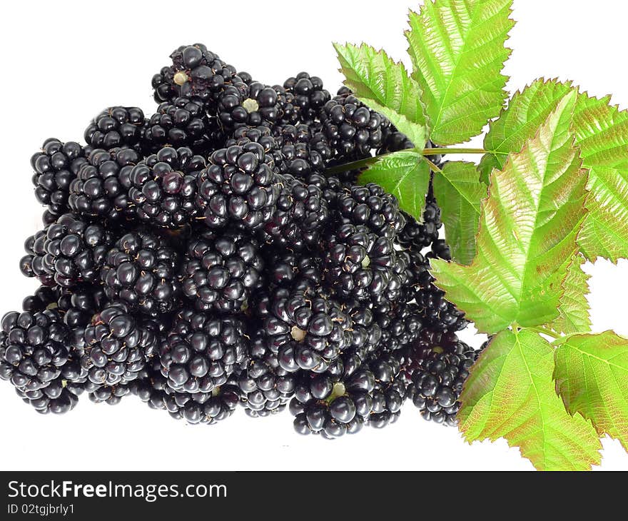 Garden blackberries