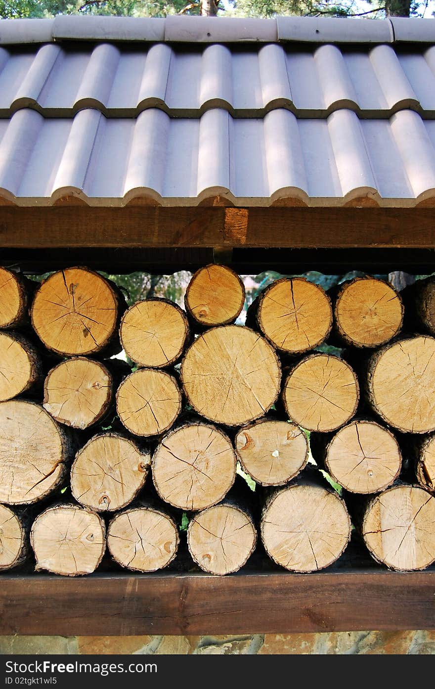 Fire wood is combined under a canopy