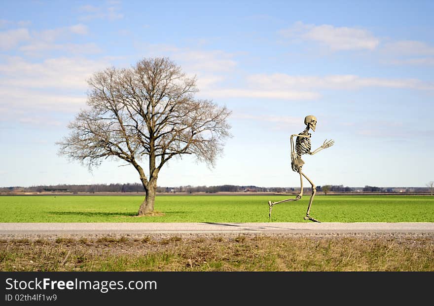 Skeleton is running on countryside road. Skeleton is running on countryside road