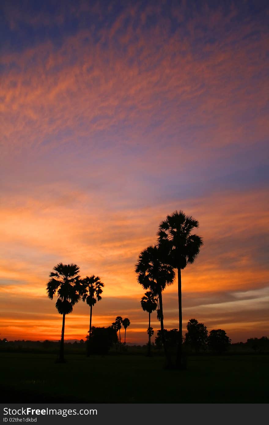 Park at sunset sky orange. Park at sunset sky orange