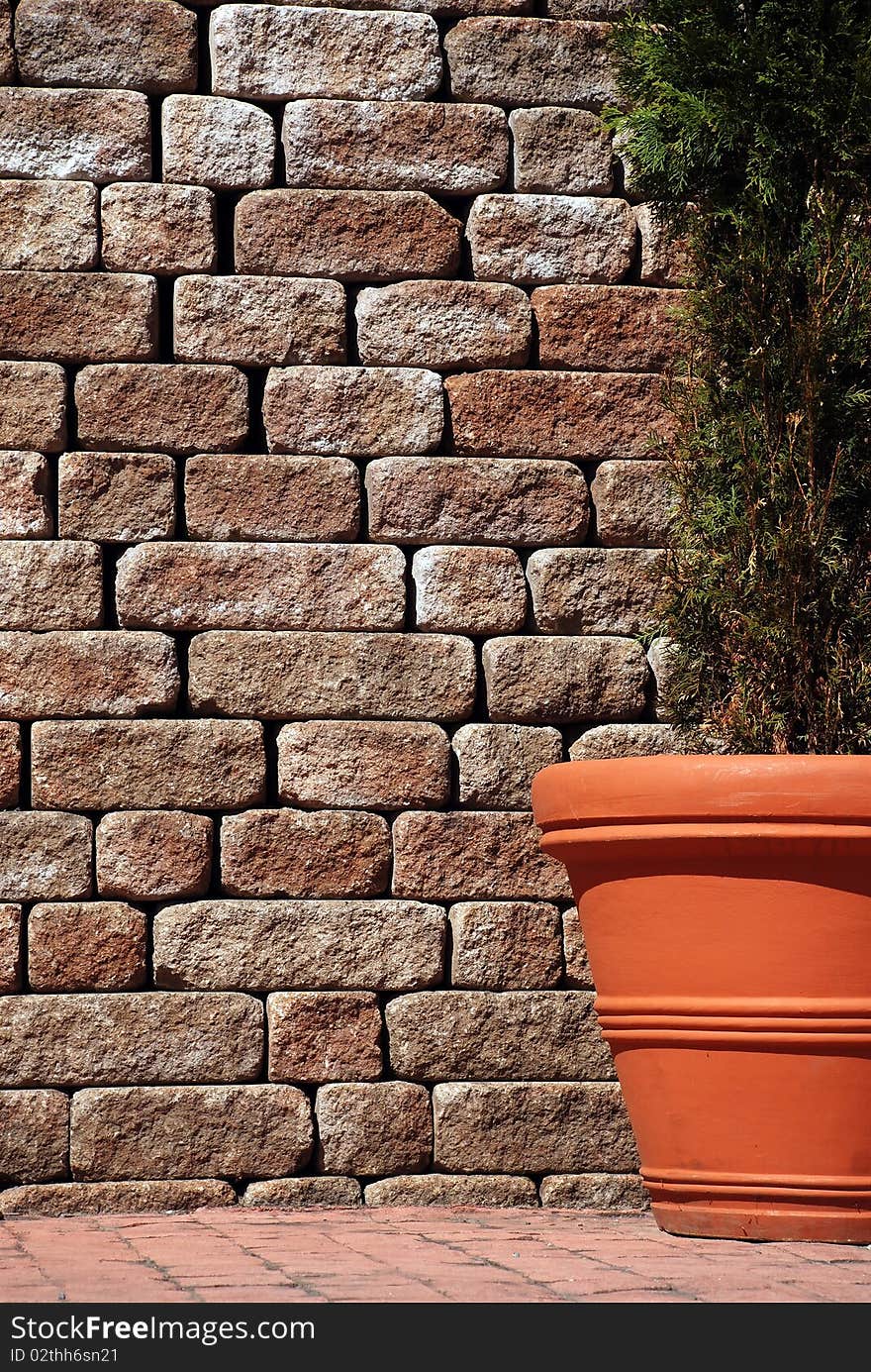 Tree in a flowerpot on brick wall background