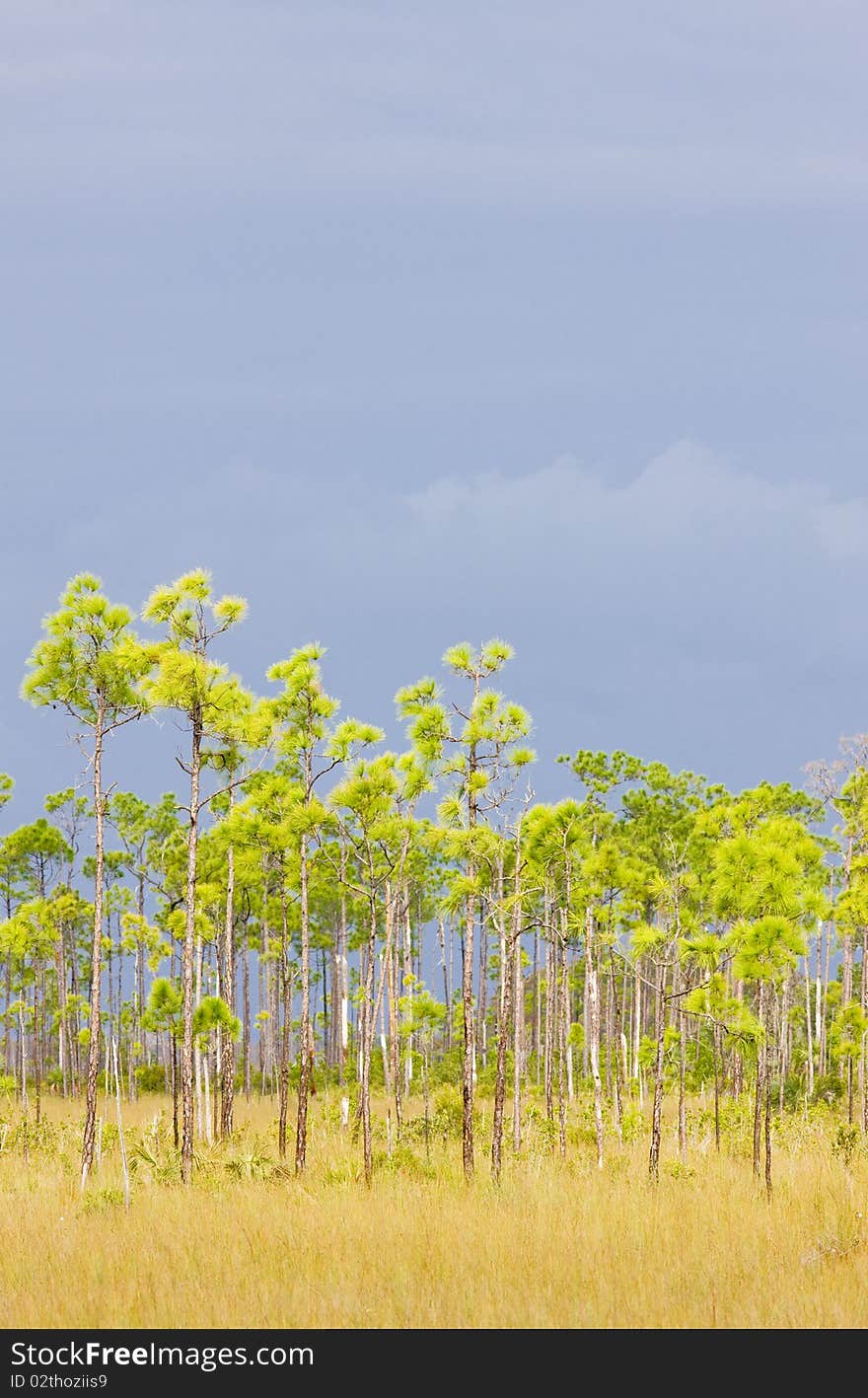 Everglades National Park