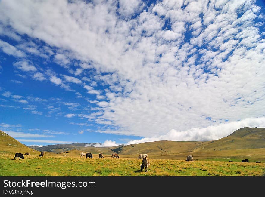 Mountains landscape in Bucegi mountains, Romania