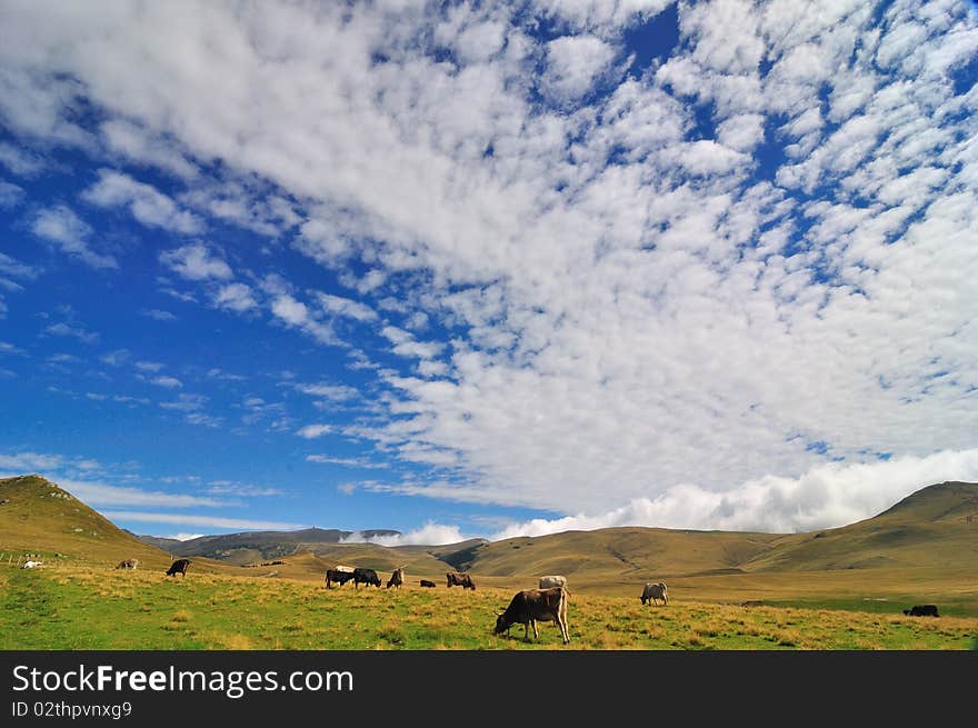 Mountains Landscape