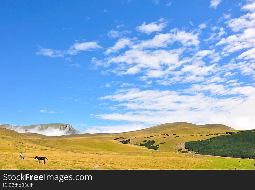 Mountains landscape in Bucegi mountains, Romania