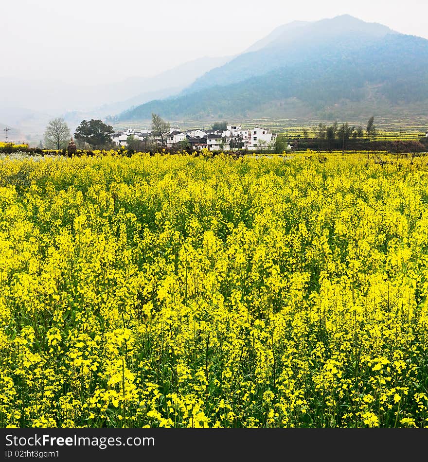 Village Scene