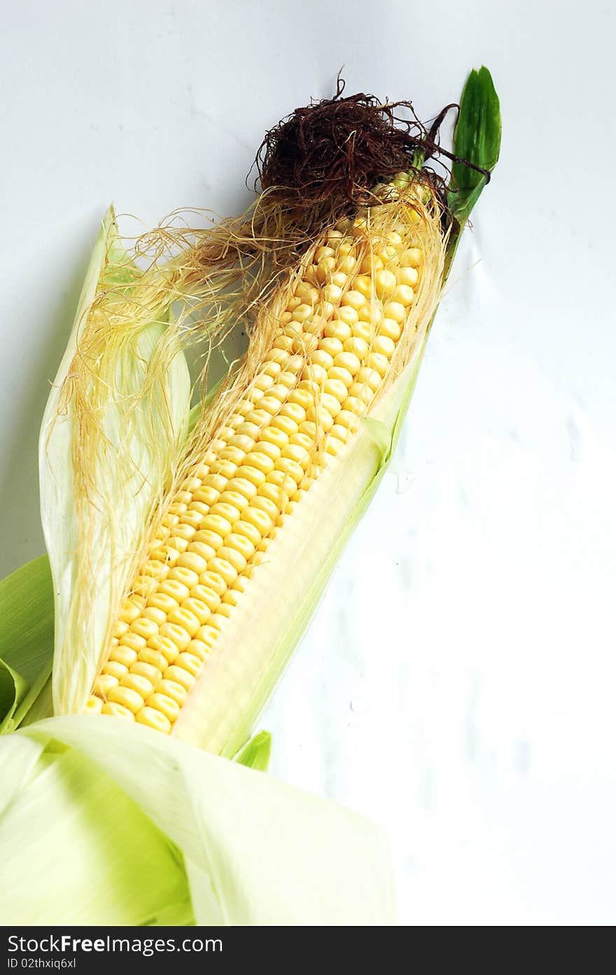 Close-up view of closely packed corn looking fresh