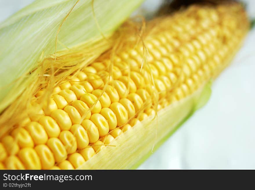 Close-up view of closely packed corn looking fresh and blurred on a white background