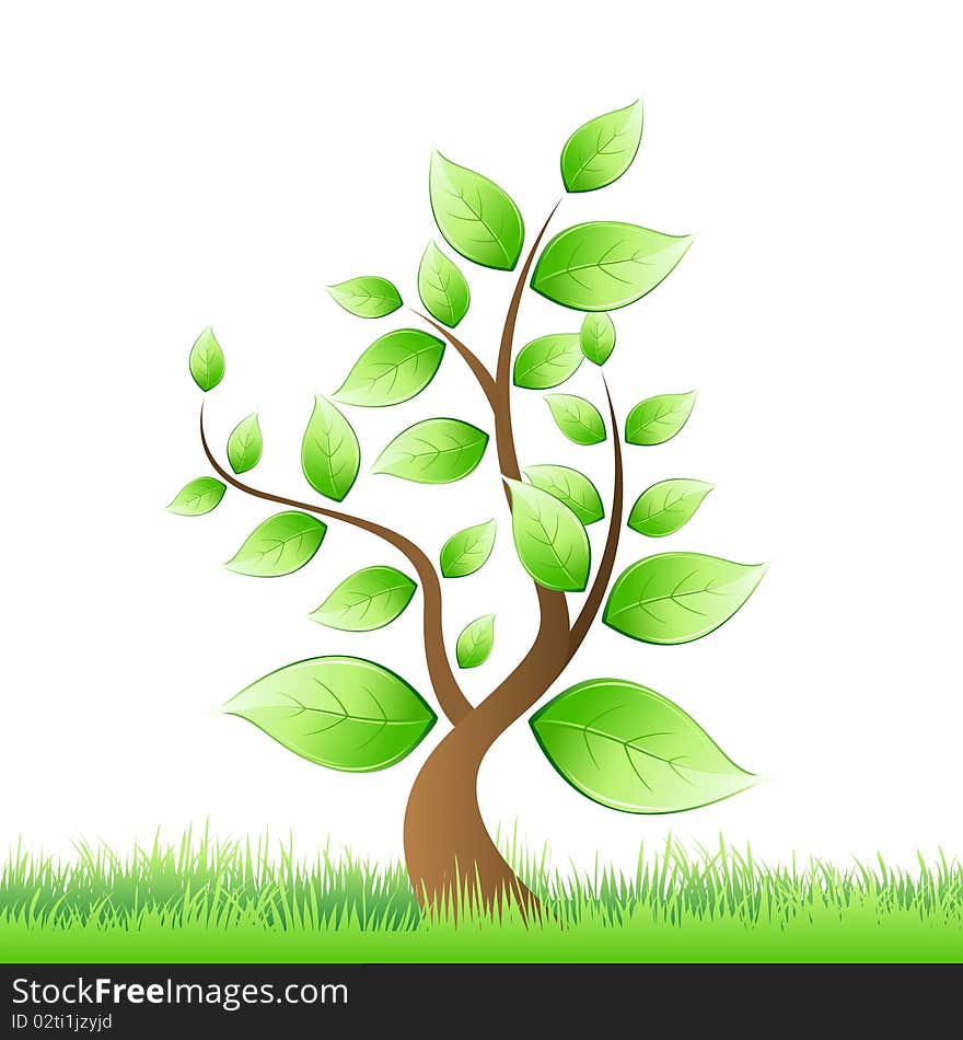 Illustration of  tree growing in grass. Illustration of  tree growing in grass