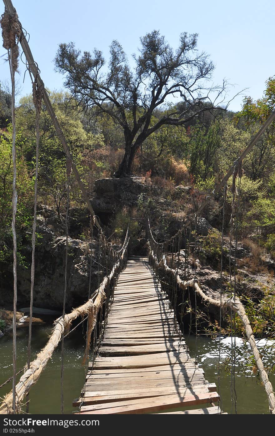 This image was taken in Hennopriver, South Africa. The bridge hangs over a river as can be seen and it is constructed of steel cable and wood. On the opposite side you can see rocks, green vegetation and a large tree that grows on a rock. This image was taken in Hennopriver, South Africa. The bridge hangs over a river as can be seen and it is constructed of steel cable and wood. On the opposite side you can see rocks, green vegetation and a large tree that grows on a rock.