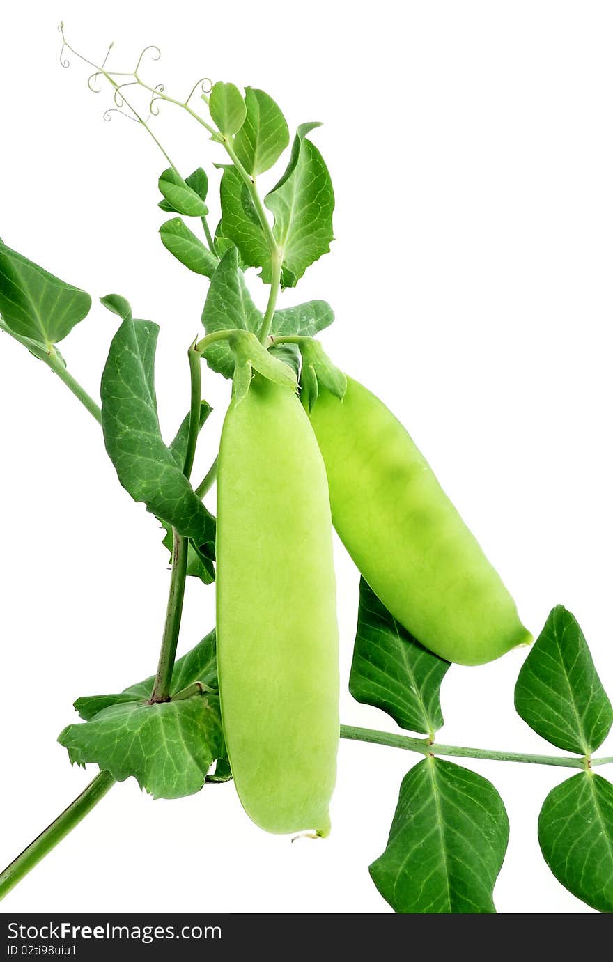 green peas isolated on white