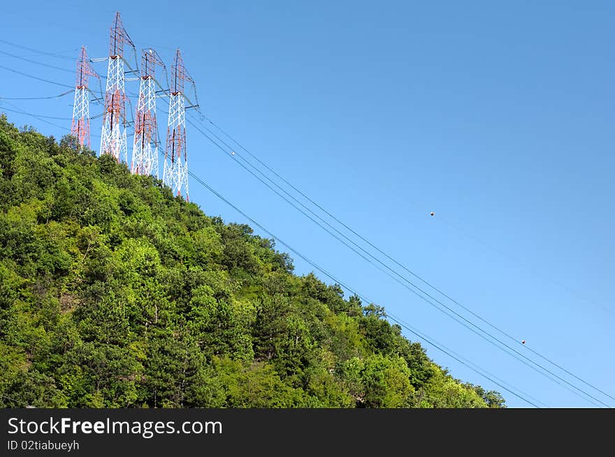 High voltage line above green forest