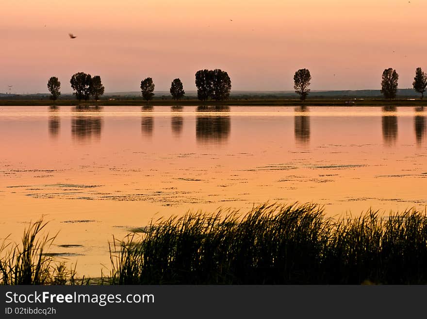 Beautiful and calm golden lake at sunset