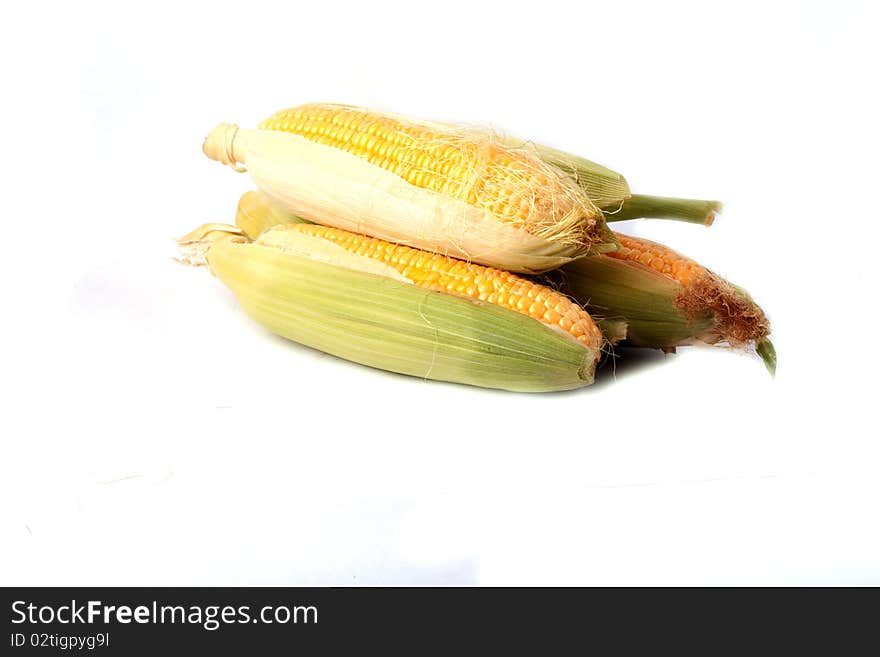 Corn isolated on white background.