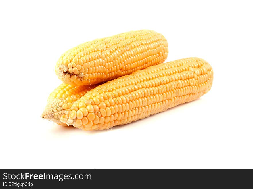 Corn isolated on white background.