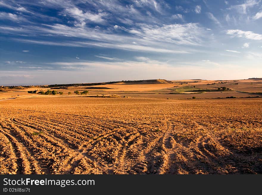 Typical spanish landscape in summer