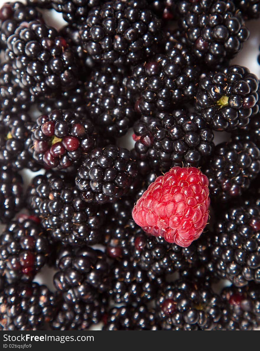 Composition of black and red raspberries on white isolated background in studio