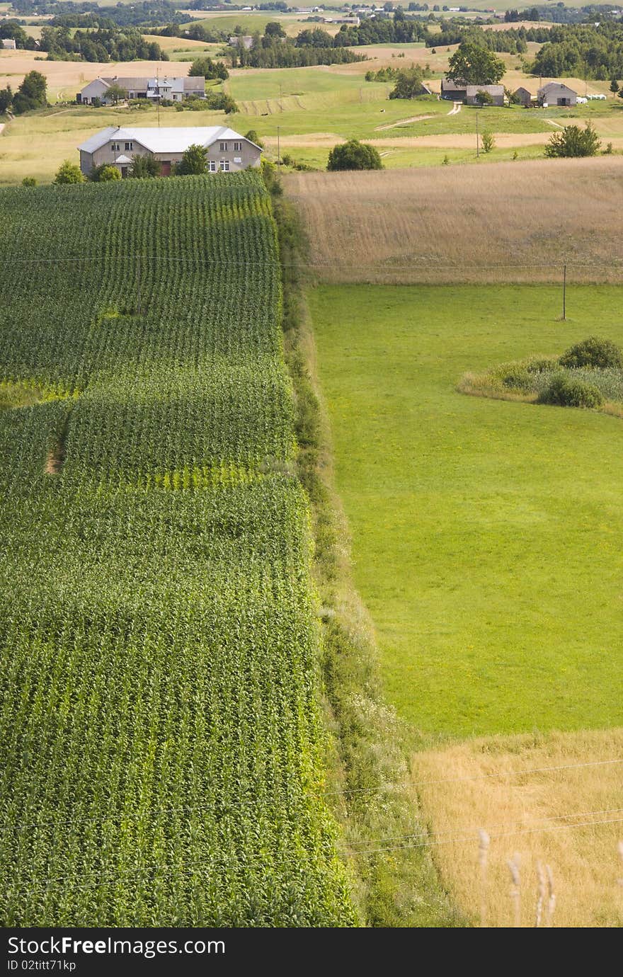 Aerial view of rural landscape with corn field, building