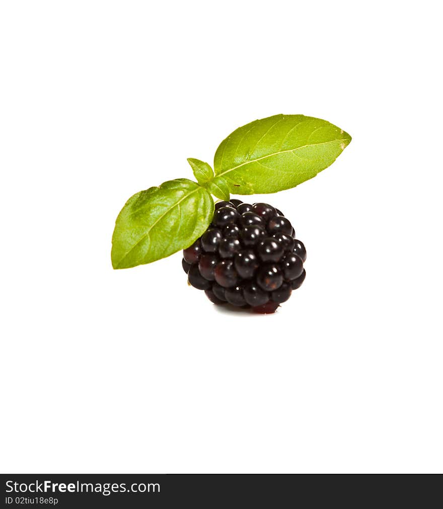 Ripe Black raspberries on white isolated background