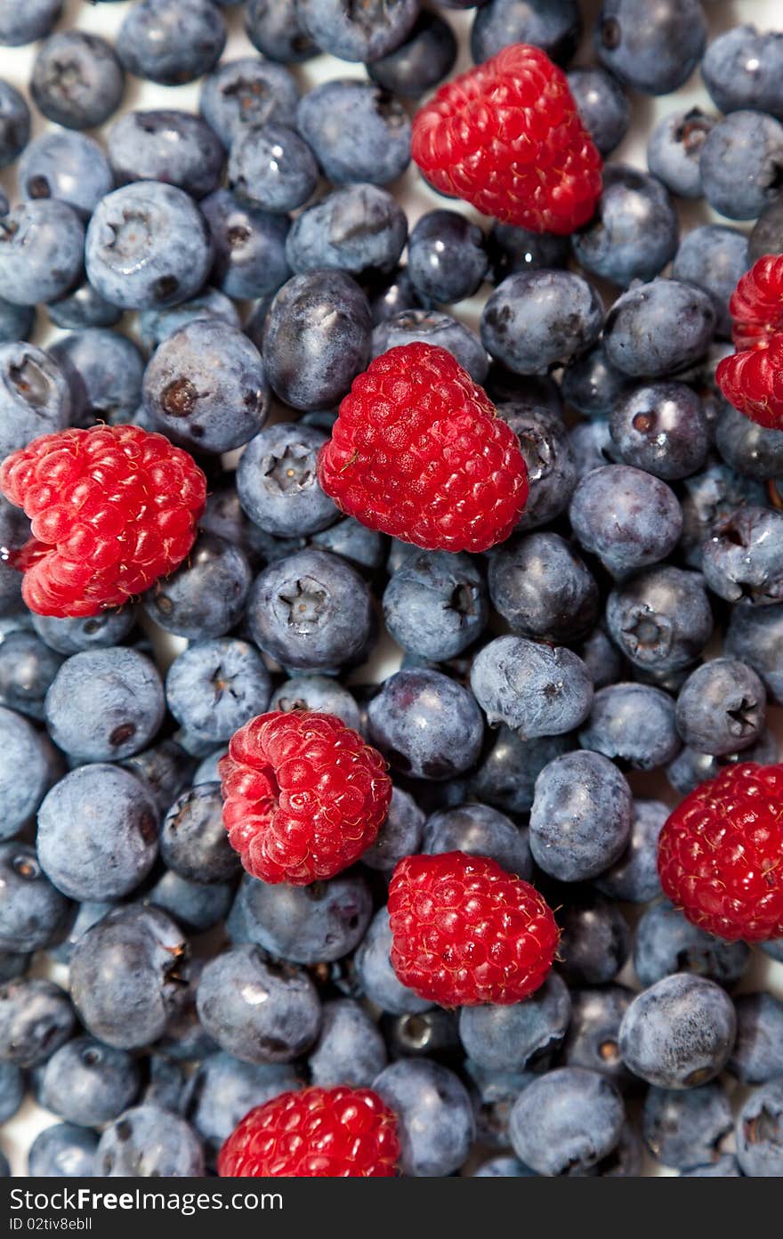 Composition of blackberries