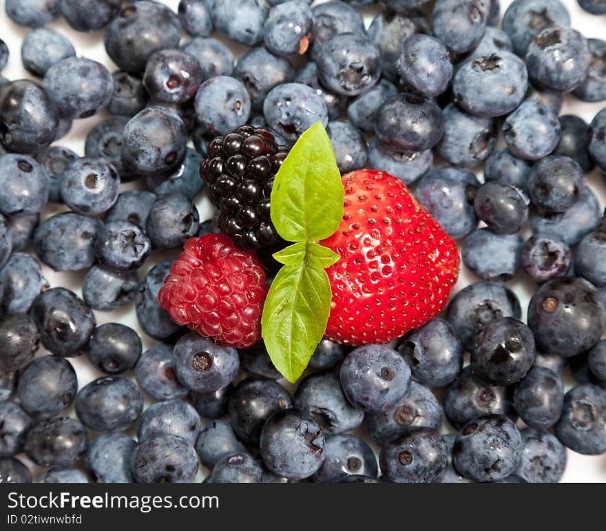 Composition of ripe black and red raspberries, strawberries and blackberries. Composition of ripe black and red raspberries, strawberries and blackberries