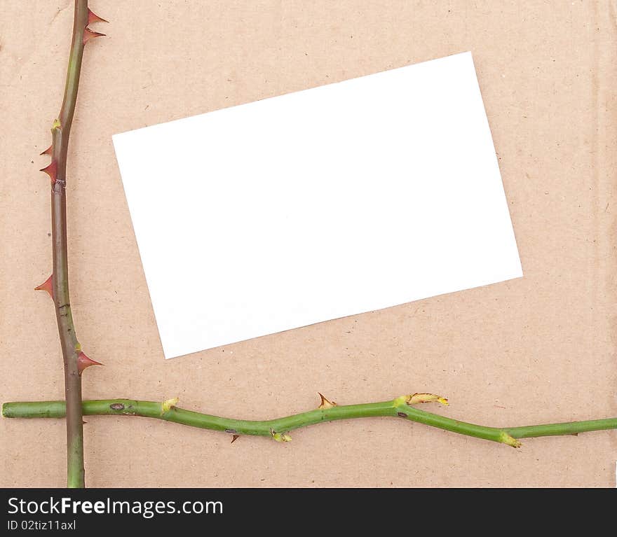 Rose thorn with card on cardboard