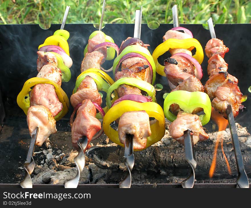 Grilled barbecue meat with vegetables