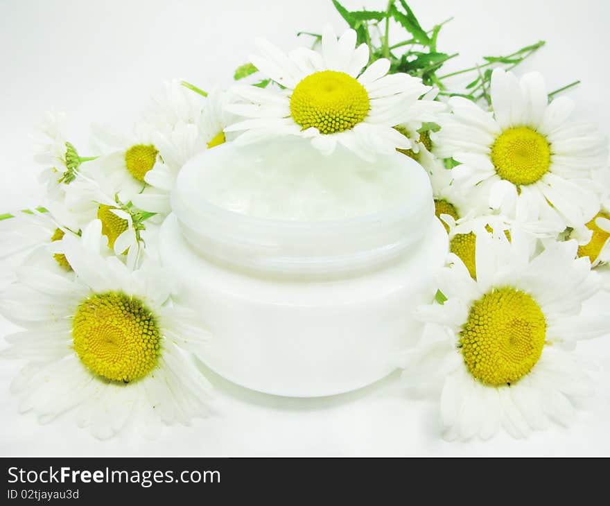 Cosmetic creme for face among daisy flowers