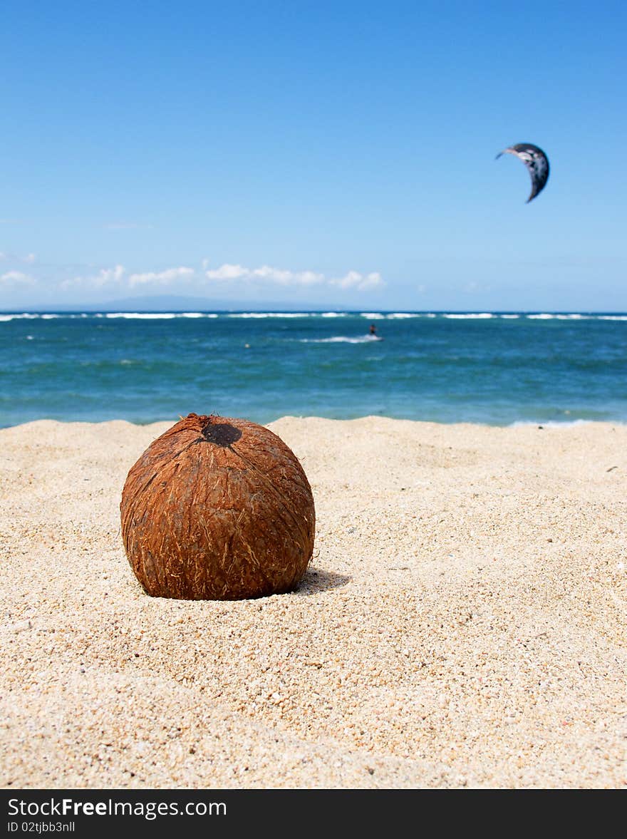 Coconut on the tropical beach